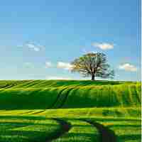 长‍尾﻿关​键﻿词​的‌关‌键‍词‍汇‌